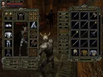 Dungeon Lords, особливості гри, бойова система, магія особливості