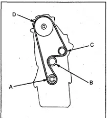 d13b