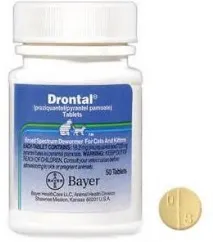 drontal