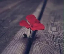 Філософи, як РОЗУМАЙТЕ народ