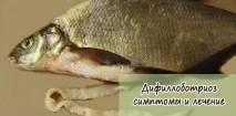Дифілоботріоз у людини симптоми, лікування більтрицидом та народними засобами - Здоров’я Інфо симптоми