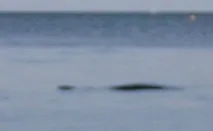 існування