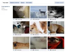 Фото-конкурси у Facebook проведення