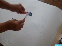 батьків