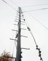 метрів