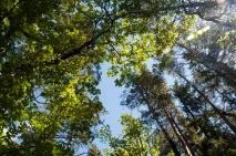 Історичні парадокси під Вітебськом, Новини Вітебська та Вітебської області новини