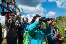 Історичні парадокси під Вітебськом, Новини Вітебська та Вітебської області вітебська