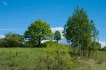 Історичні парадокси під Вітебськом, Новини Вітебська та Вітебської області парадокси