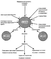 Інсулін – це гормон, журнал медичних статей «Молодий лікар» гормон