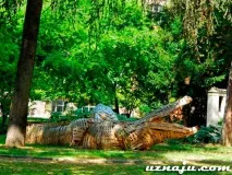 З Німеччини до Франції пішки місто Страсбург франції