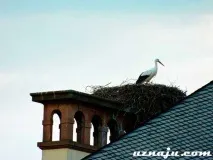 З Німеччини до Франції пішки місто Страсбург страсбург