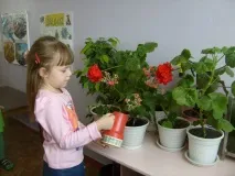 Як економити воду у квартирі з лічильником законні методи методи