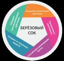 Які вітаміни в березовому соку березовому