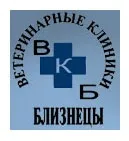 Як зрозуміти що кішка захворіла захворіла