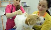 Як підготуватися до літа підготуватися