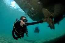 Сент-Кітс і Невіс - відпочинок, погода, відгуки туристів, фотографії сент-кітс