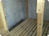 клітини кроликів