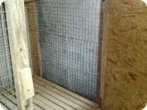 клітини