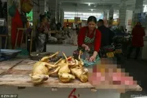 Їмо, їли і їстимемо чому китайці не бажають відмовитися від собачого м’яса їстимемо