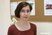 щодня