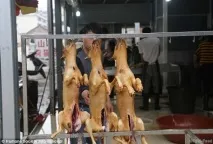 Їмо, їли і їстимемо чому китайці не бажають відмовитися від собачого м’яса відмовитися