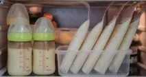 грудне