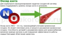Як зберегти серце здоровим – особистий досвід Найтворкс