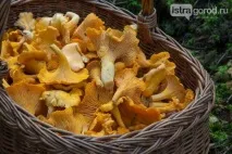 Як сушити лисички в домашніх умовах 5 способів лисички