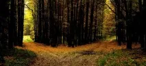 Як стати справжнім мандрівником, а не просто туристом просто