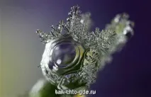 Як вирізати сніжинку, Як Що Де і Чому відповіді на запитання онлайн сайт поставити питання сніжинку