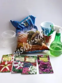 Як виростити петунію з насіння в домашніх умовах. петунію