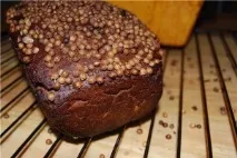 Бородінський