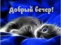 Зображення з написами Доброго вечора (226 шт зображення