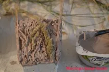 Кавовий топіарій чи дерево щастя своїми руками своїми