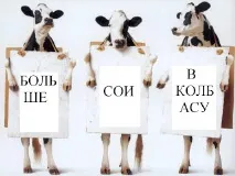 делікатеси