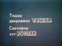 Кішки на великому екрані екрані
