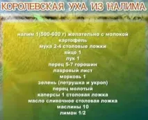 Королівська юшка з миня, відеорецепт, Успішна рибалка королівська