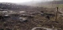 Красноярський край, Чортове кладовище кладовище