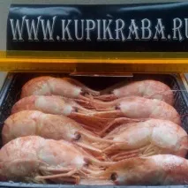 Креветка гребінчаста ботан креветок
