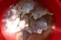Курка холодного копчення у коптильні рецепт з фото покроково та video копчення