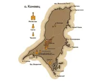 конівець