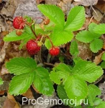 засобами