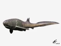 Entelognathus primordialis primordialis