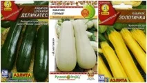 кабачків