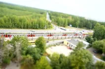 Літній тілтшифт дерево
