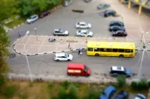 Літній тілтшифт дерево