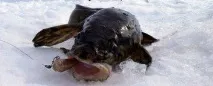 способи