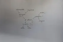 карти