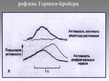 Механізм дихального акту акту