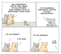 Миша, Кіт було